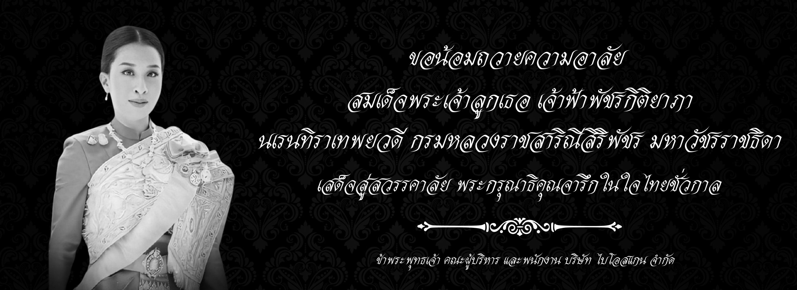แนวนอน Bio